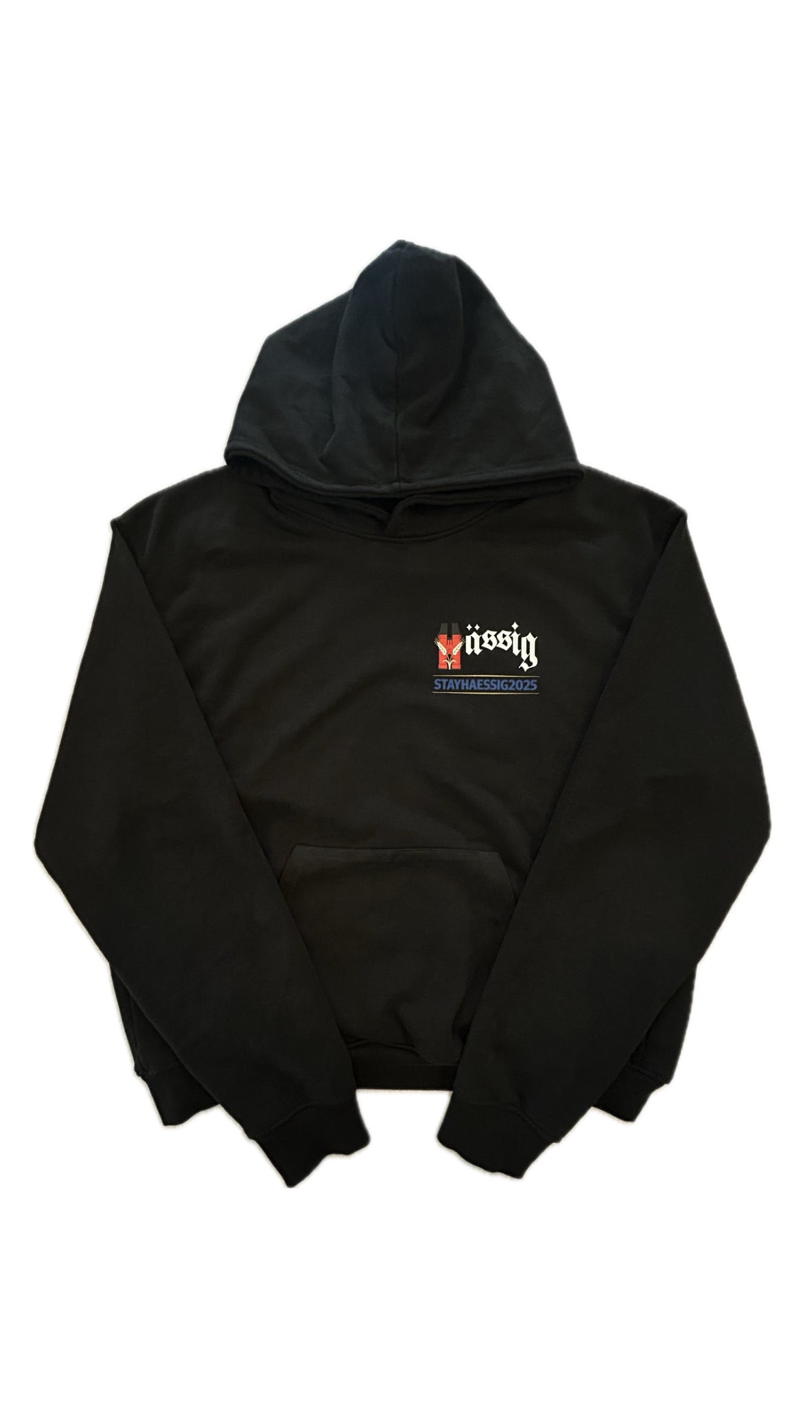 stayhaessig2025 hoodie