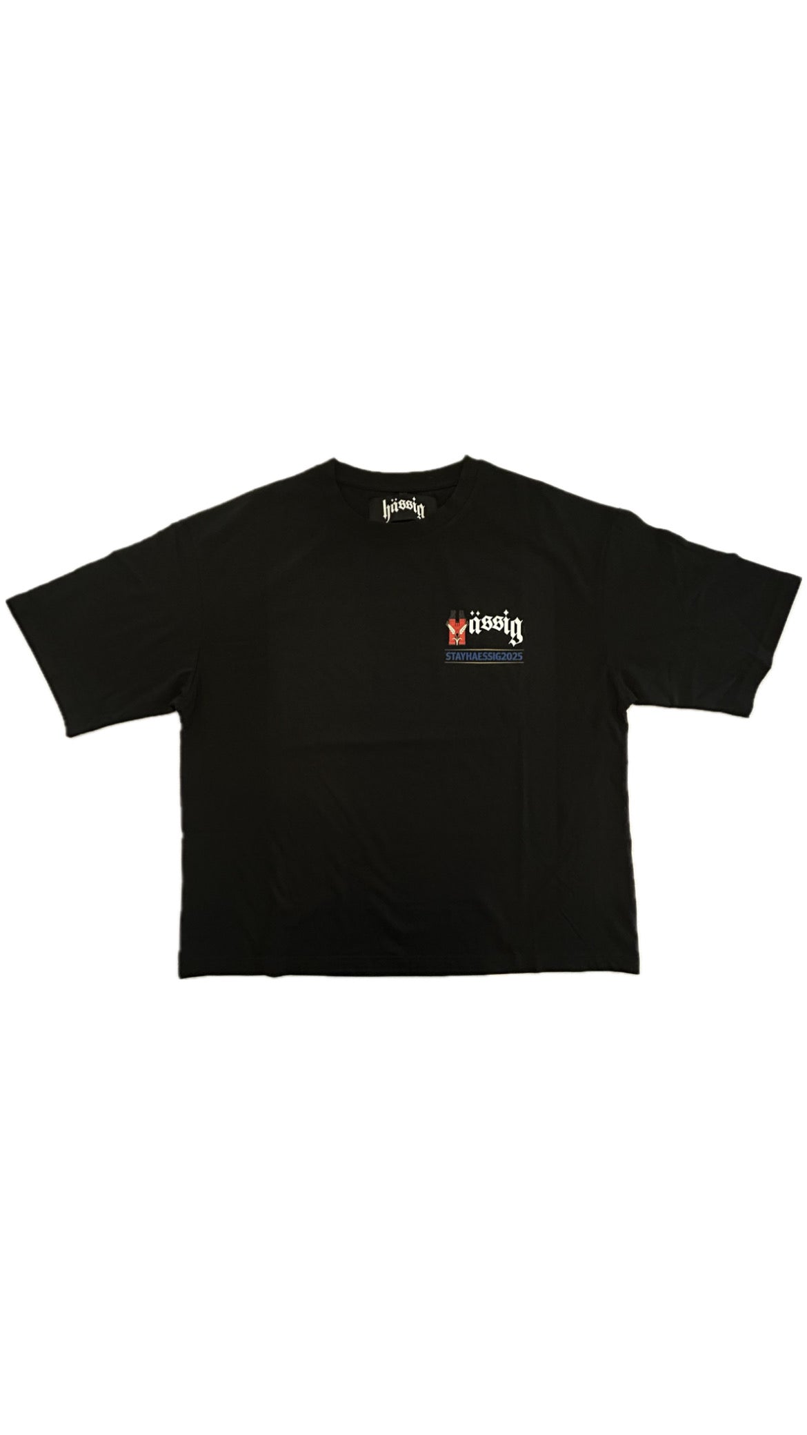 stayhaessig2025 shirt